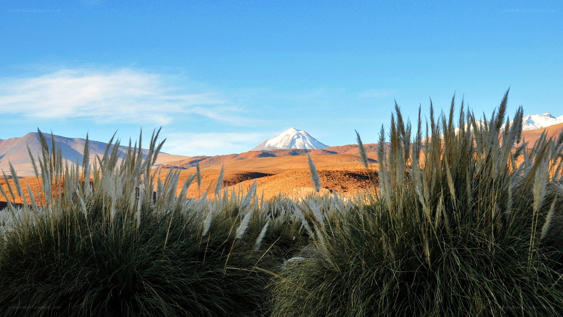 Desert landscape with snow-capped mountain