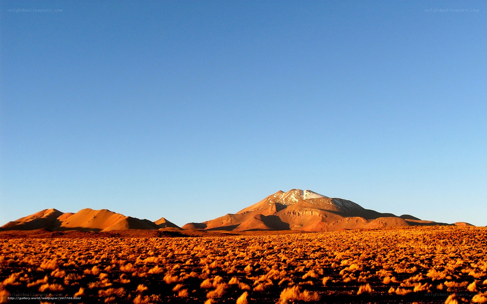 Desert landscape with snow-capped mountain