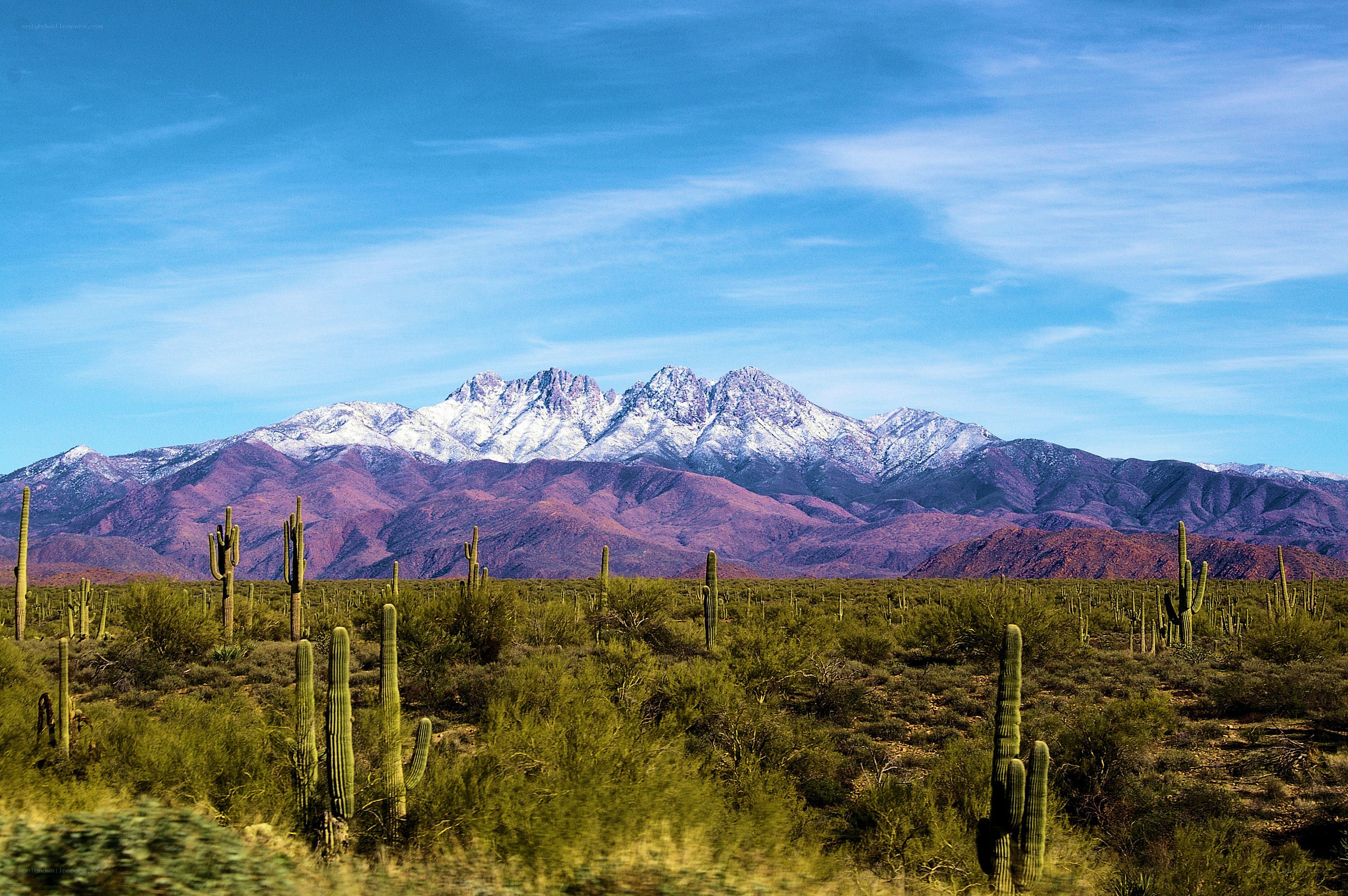 Desert landscape with snow-capped mountains