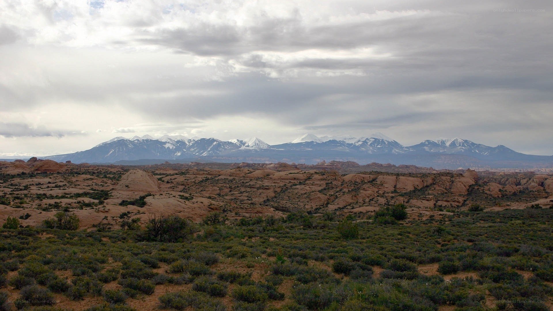 Desert landscape with snow-capped mountains