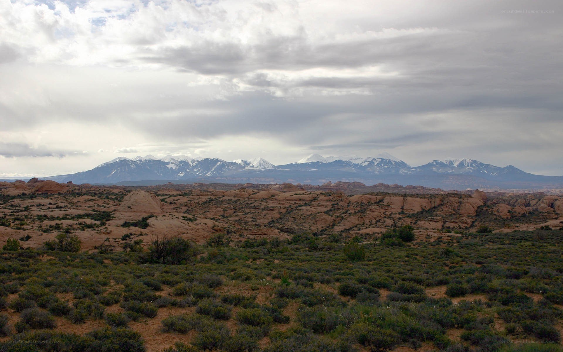 Desert landscape with snow-capped mountains