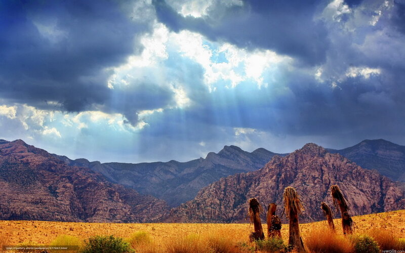 Desert landscape with sunbeams