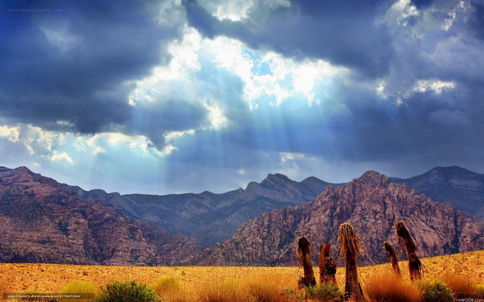 Desert landscape with sunbeams