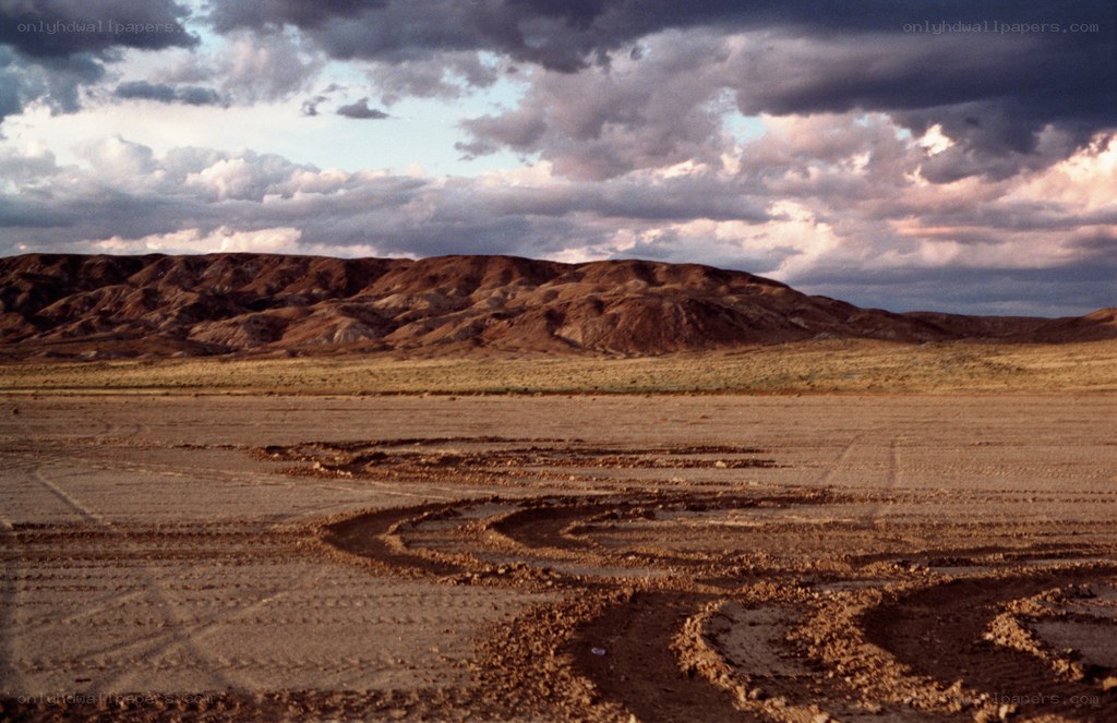 Desert landscape with tire tracks