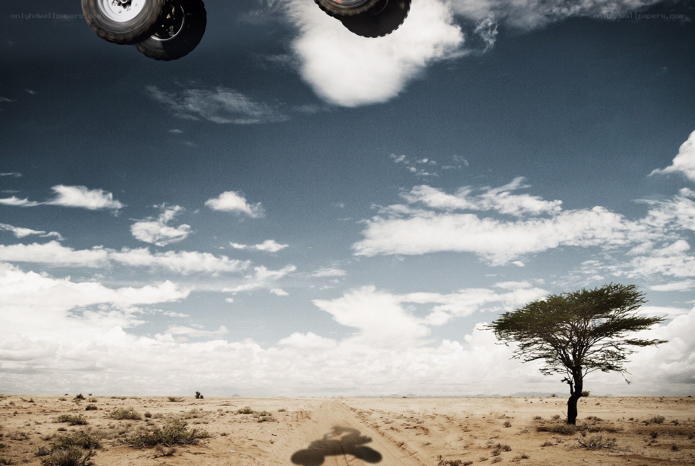 Desert landscape with vehicle wheels
