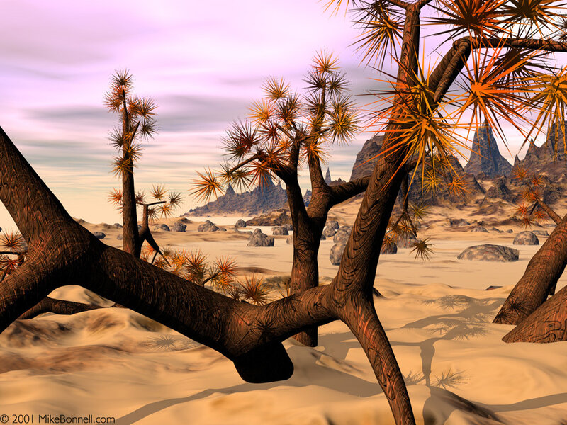 Desert landscape with yucca trees