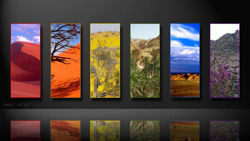 Desert Landscapes