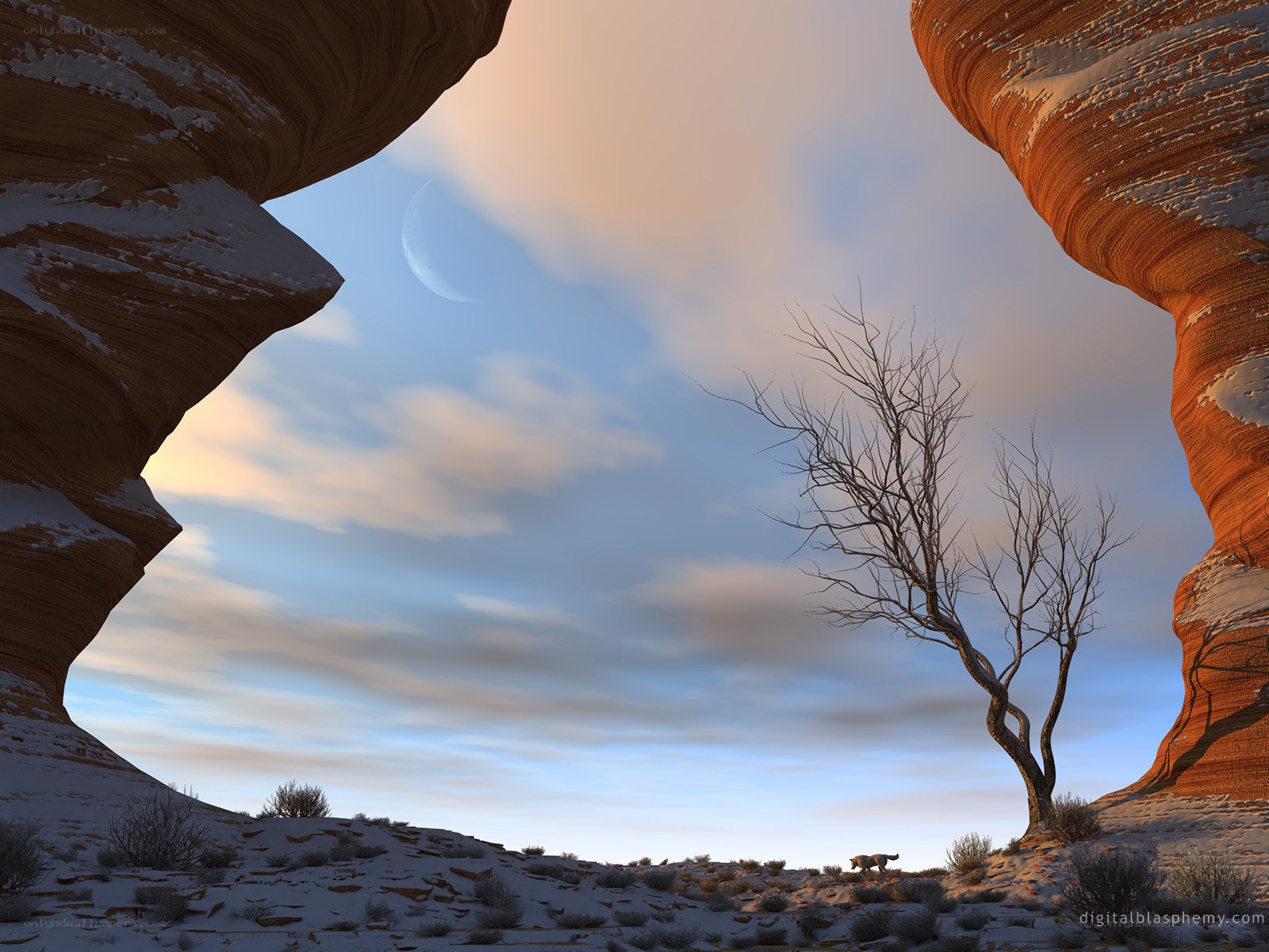 Desert moonlight scene