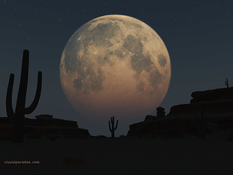 Desert moonrise scene