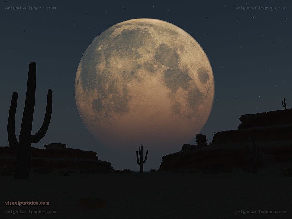 Desert moonrise scene