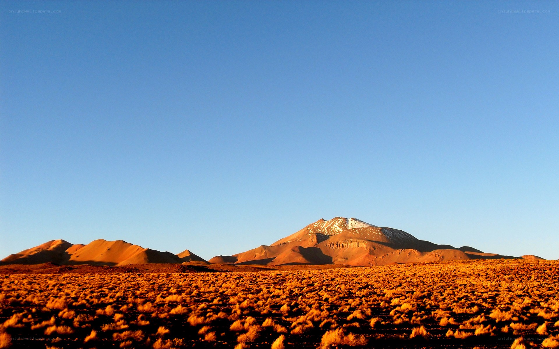 Desert mountain at sunset