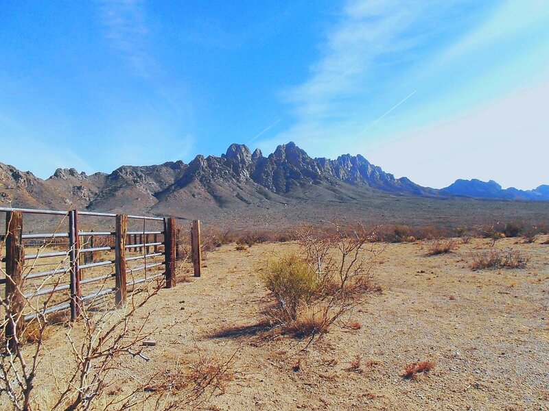 Desert Mountainscape