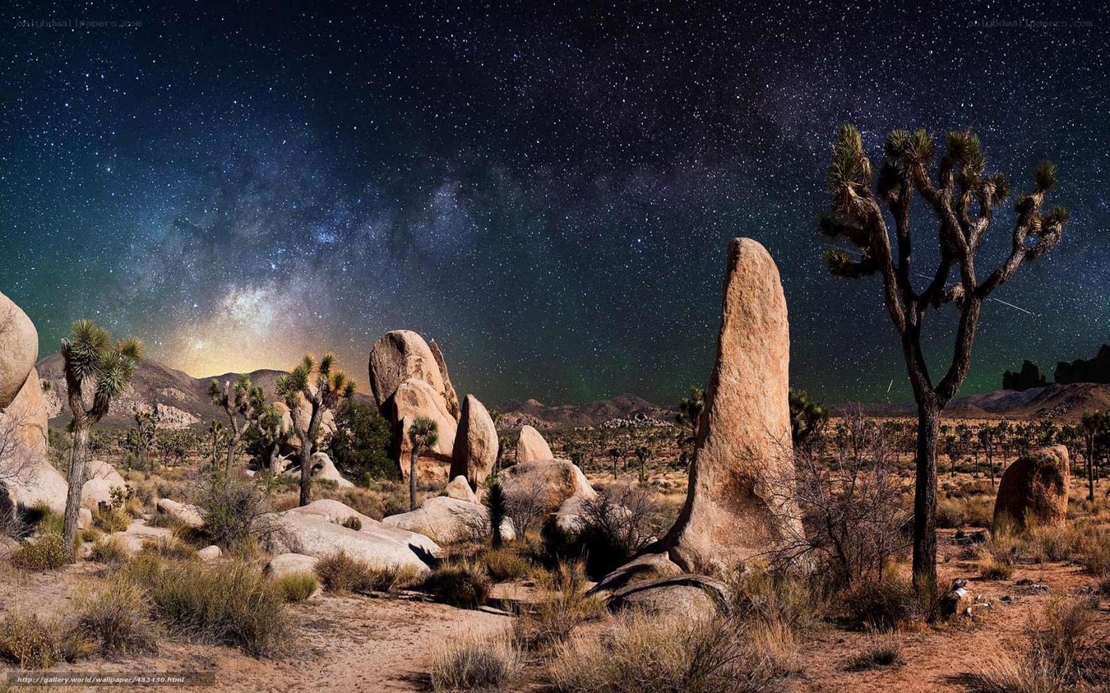Desert night with Milky Way
