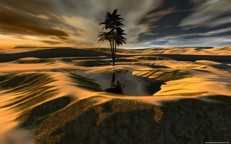 Desert oasis at sunset