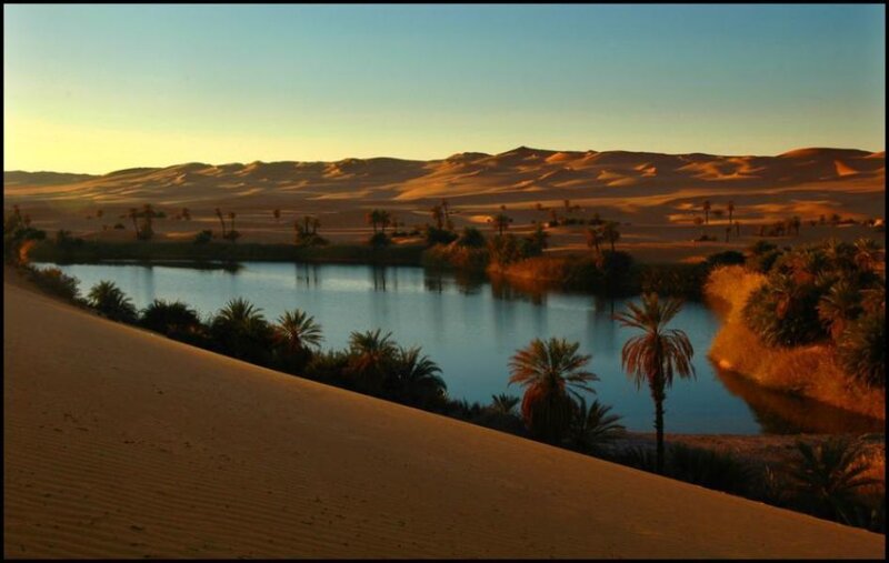 Desert oasis at sunset