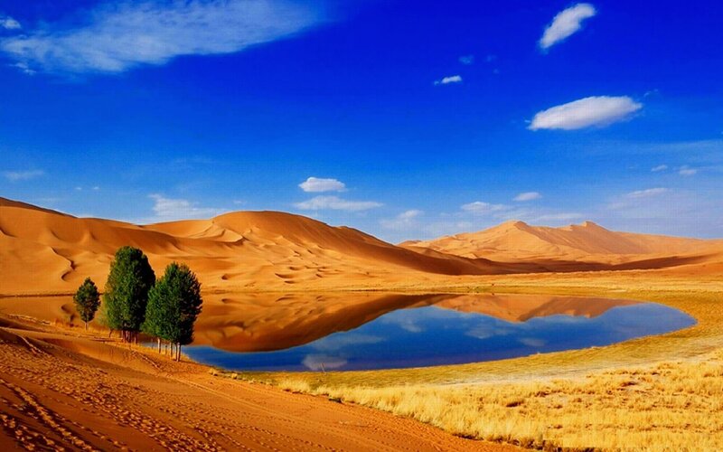 Desert Oasis with Dunes — Blue