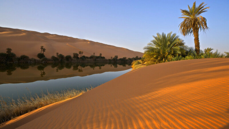 Desert Oasis with Dunes — Orange