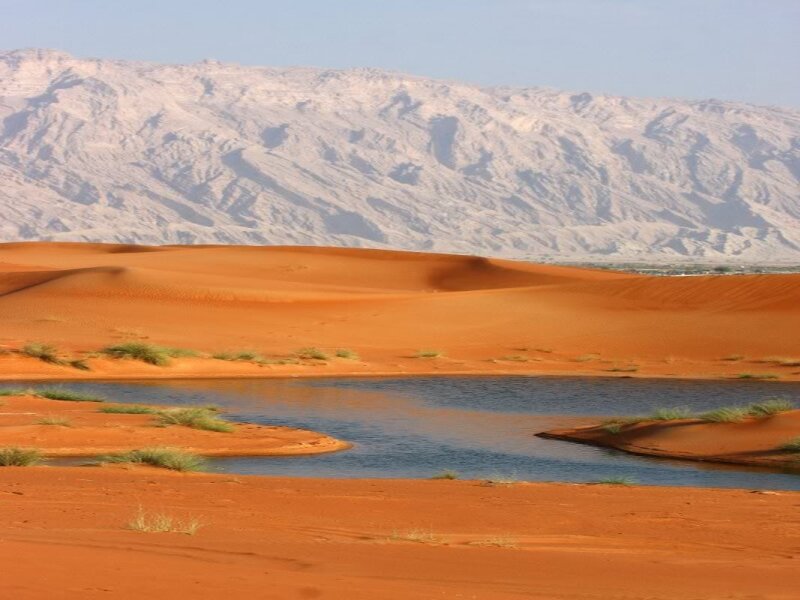 Desert Oasis with Dunes