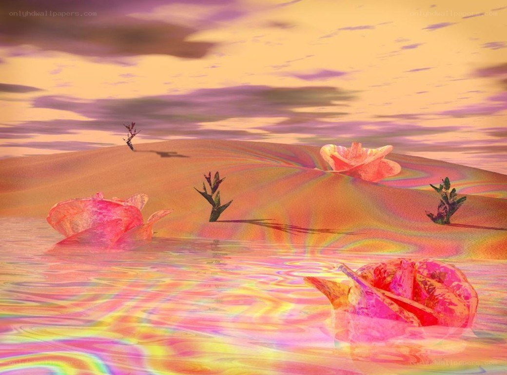 Desert oasis with floating flowers