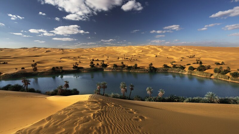 Desert Oasis with Lake — Blue