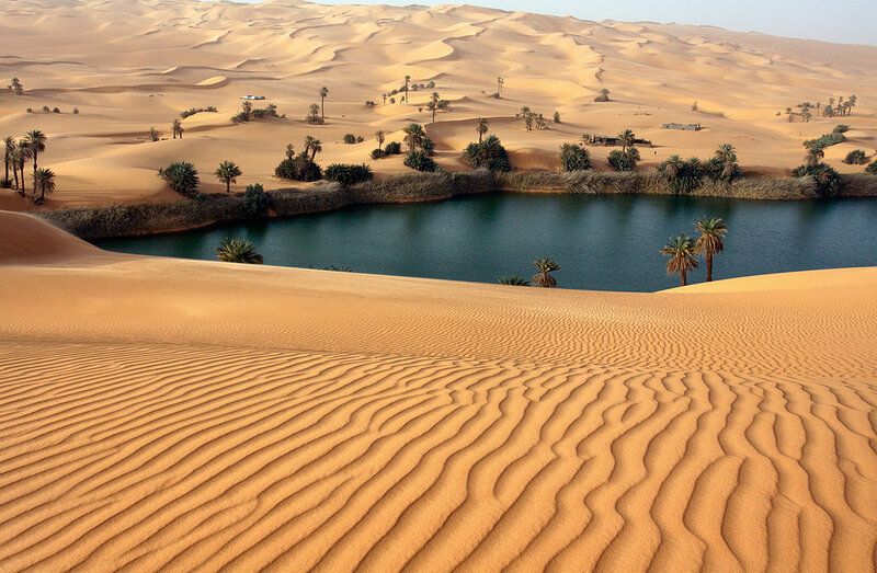 Desert Oasis with Lake