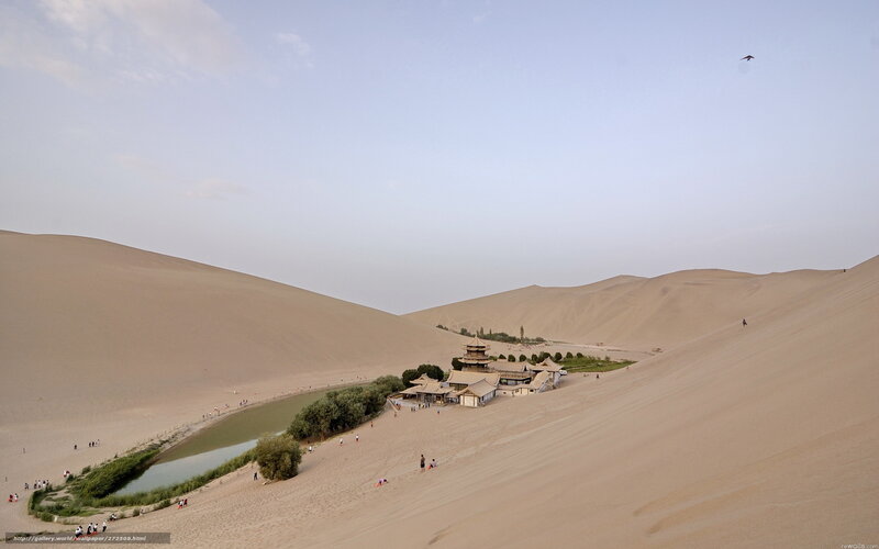 Desert oasis with pagoda