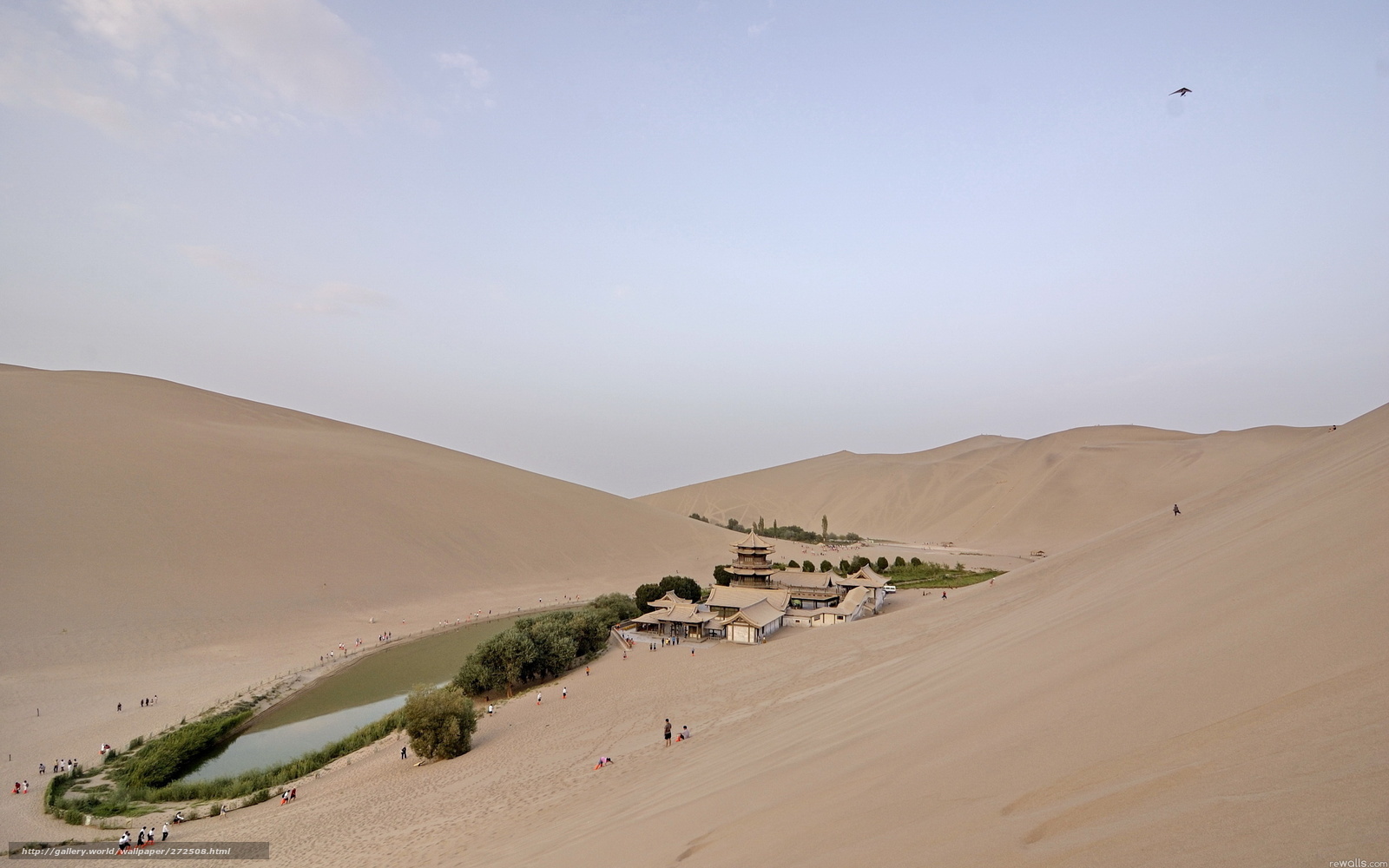 Desert oasis with pagoda