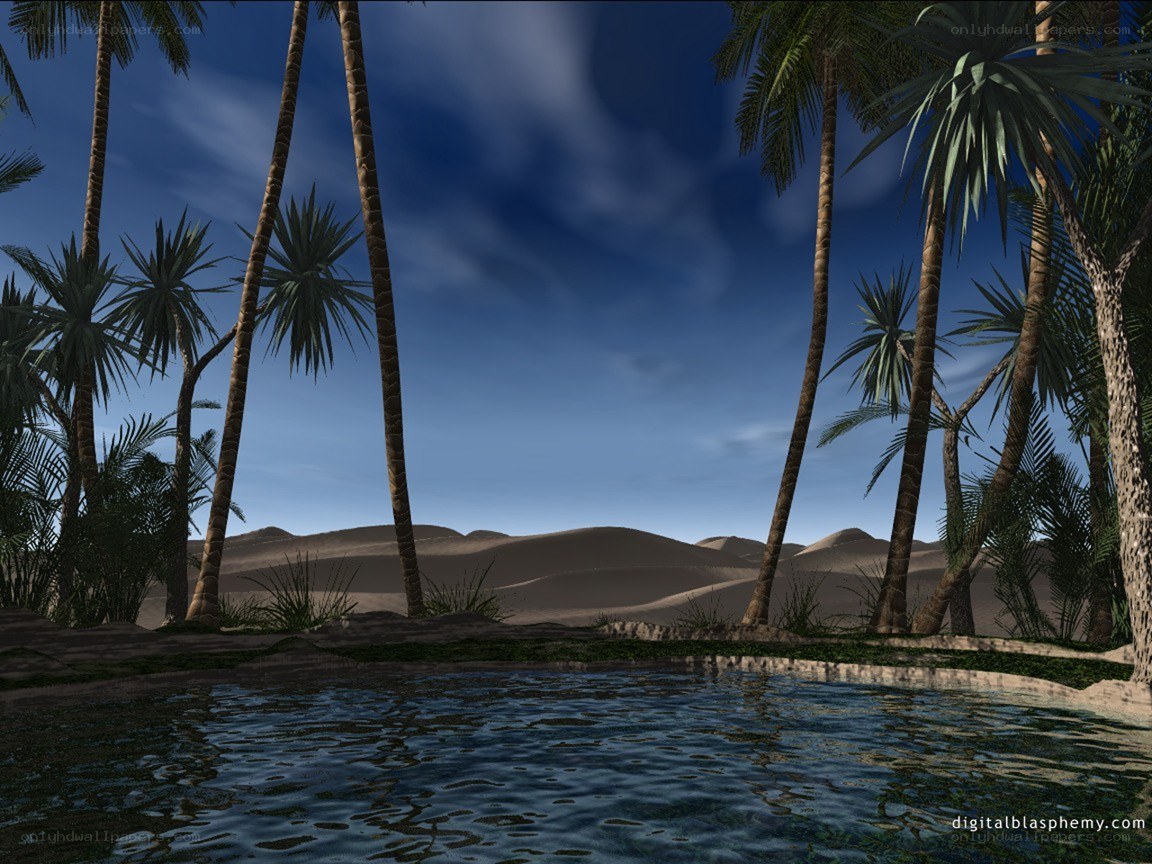 Desert oasis with palm trees