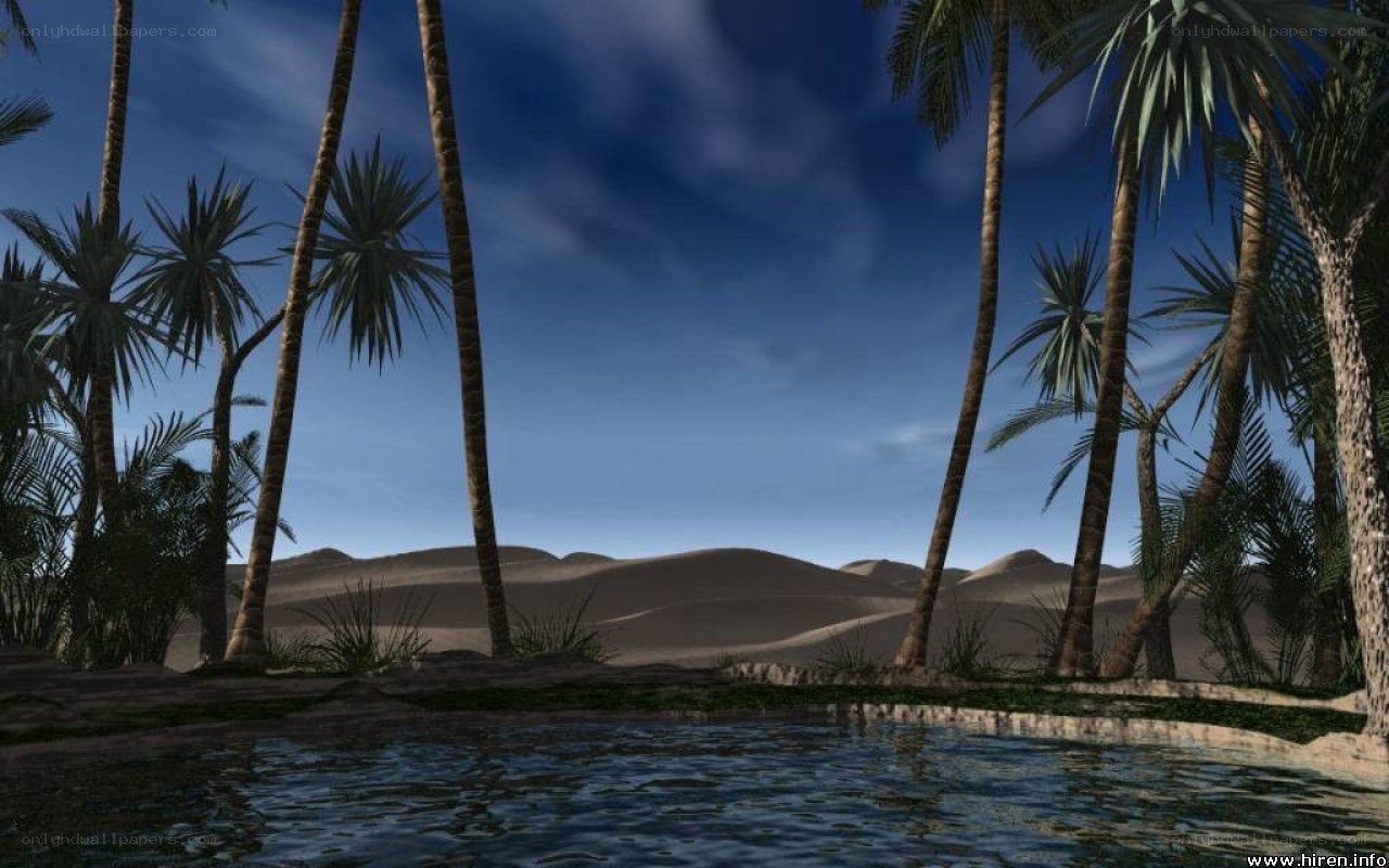 Desert oasis with palm trees