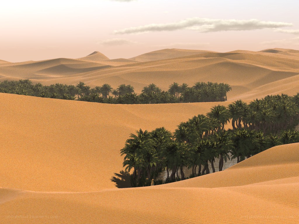 Desert oasis with palm trees