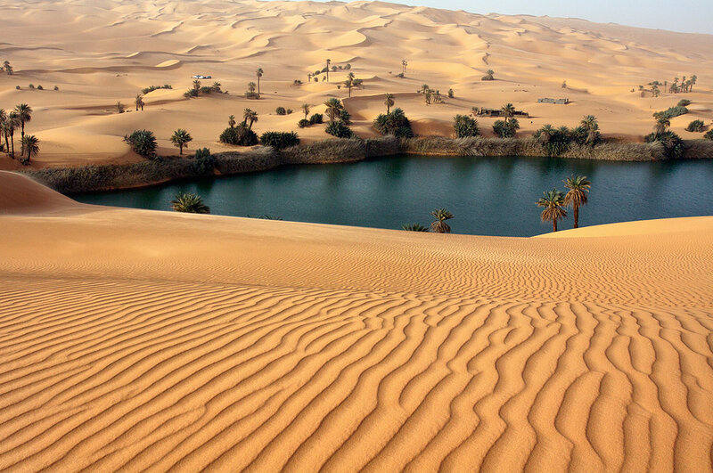 Desert Oasis with Palm Trees — Brown
