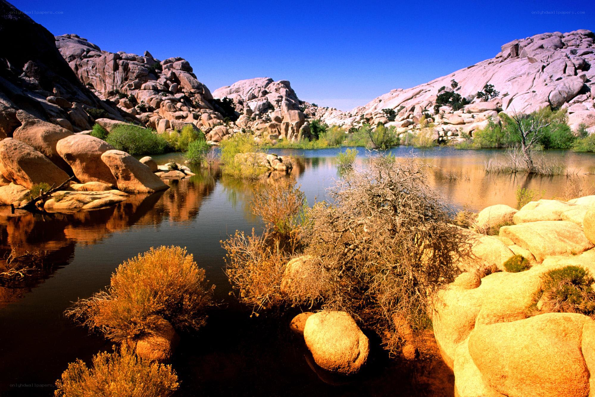 Desert oasis with rock formations