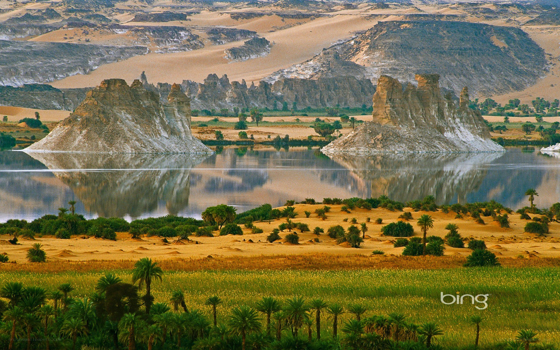 Desert oasis with rock formations