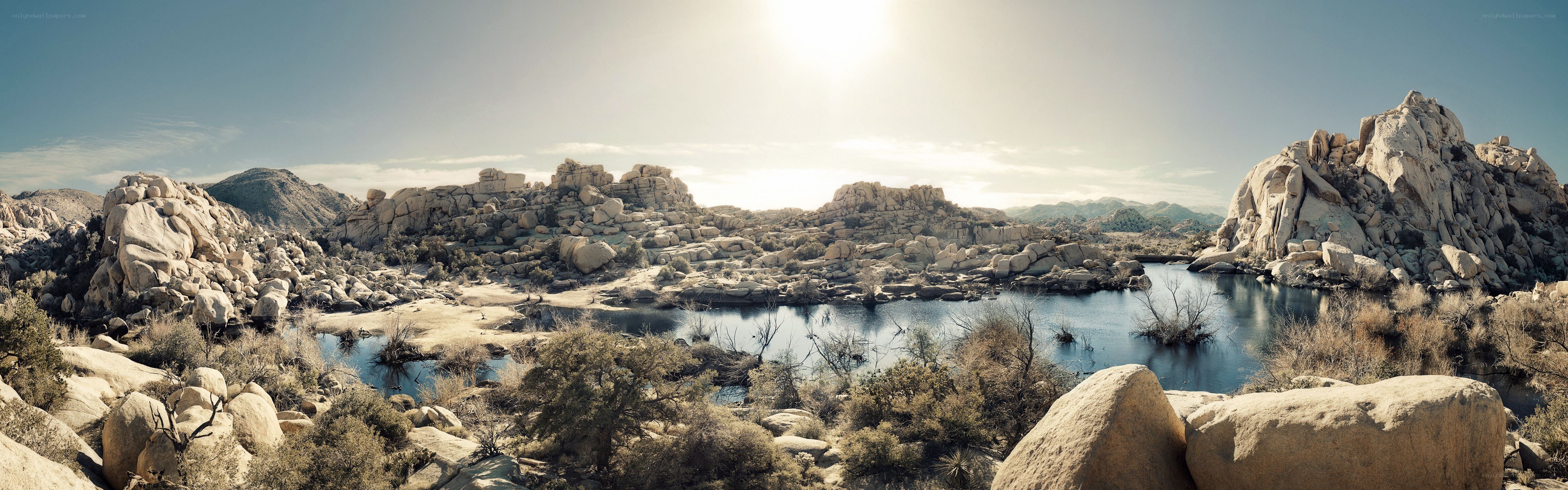 Desert oasis with rocky landscape