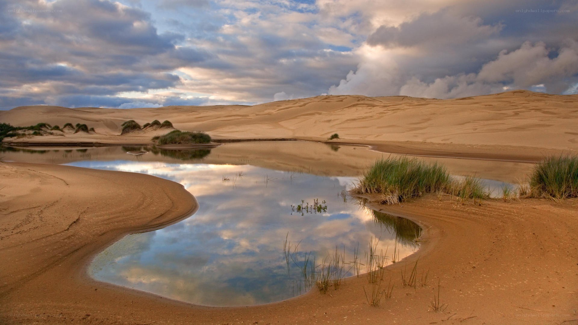 Desert oasis with sand dunes