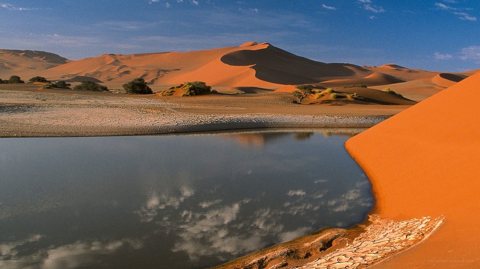 Desert oasis with sand dunes