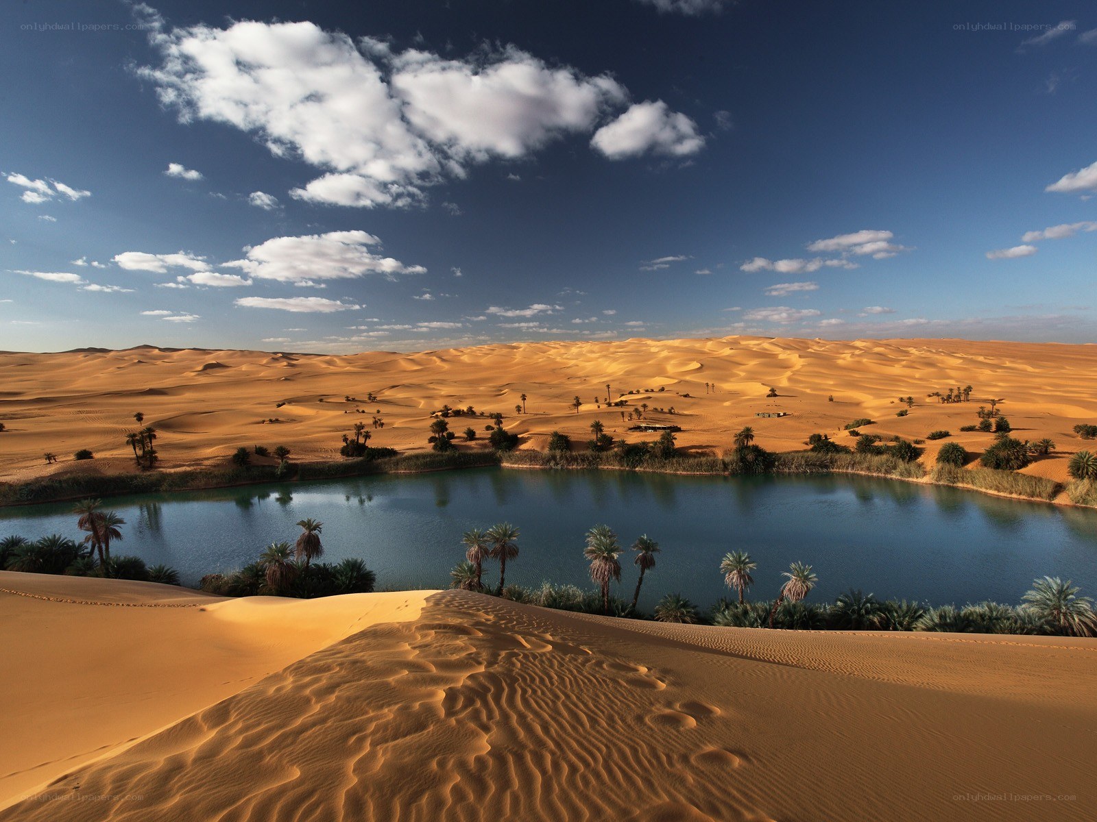 Desert oasis with sand dunes