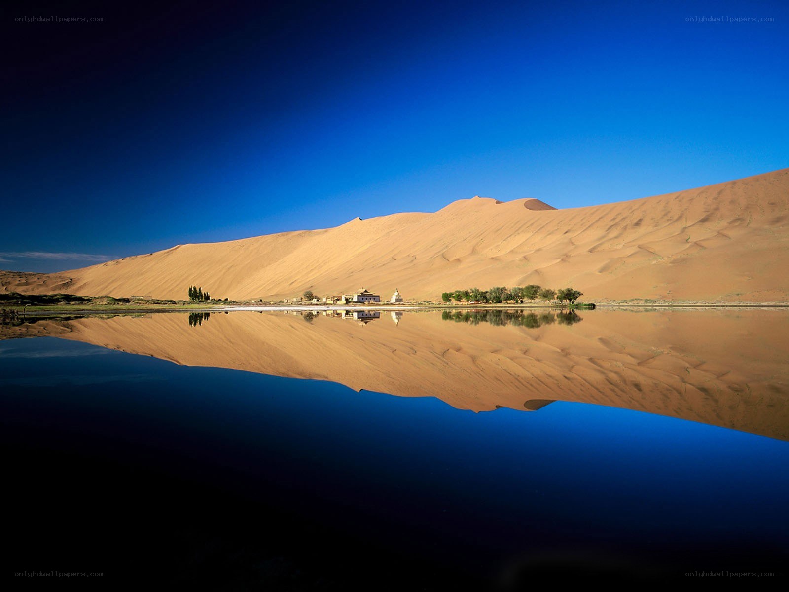 Desert oasis with sand dunes