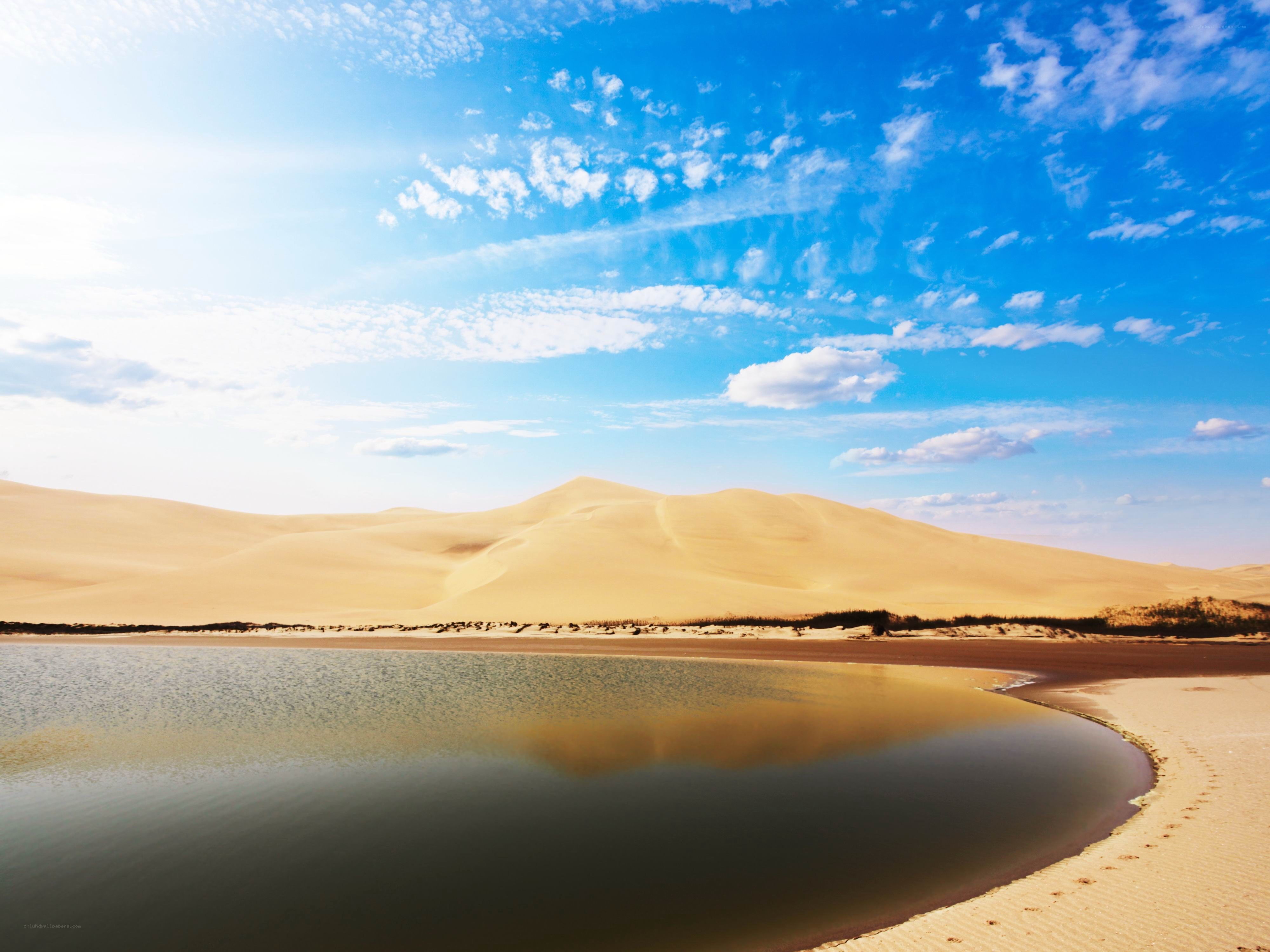 Desert oasis with sand dunes