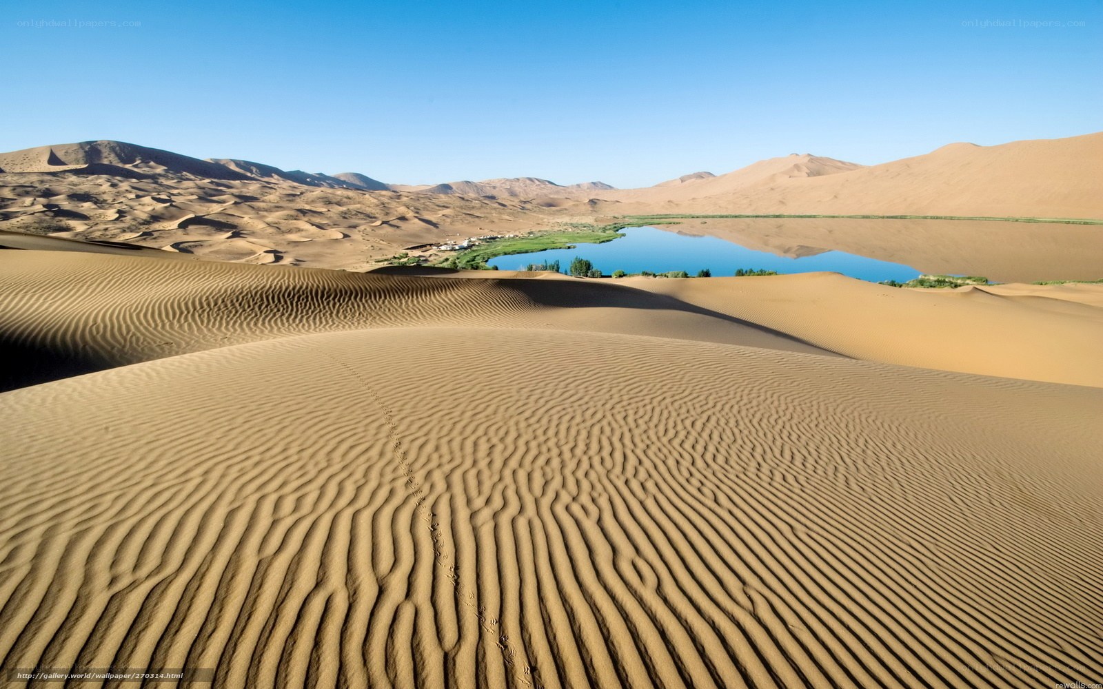 Desert oasis with sand dunes