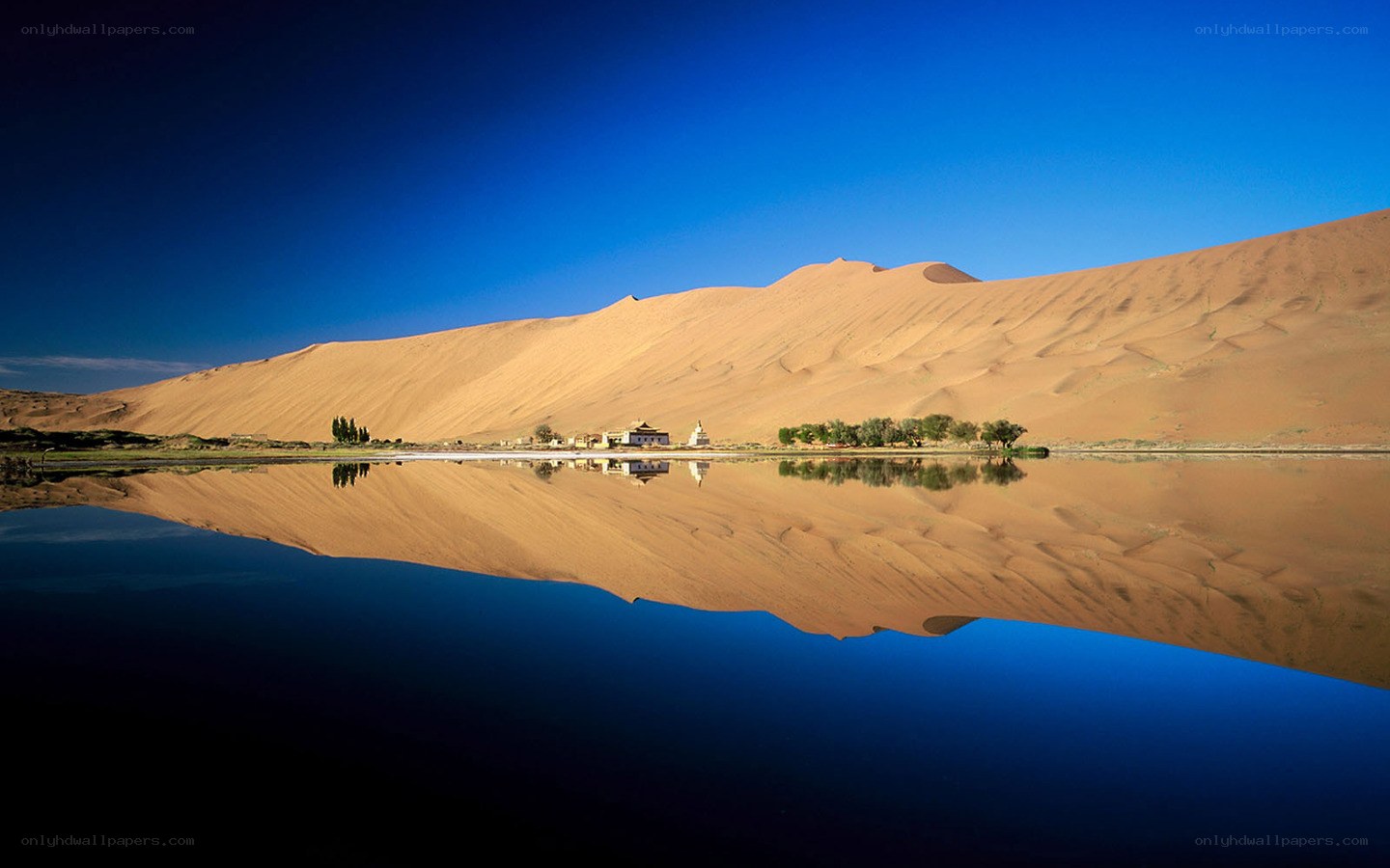 Desert oasis with sand dunes