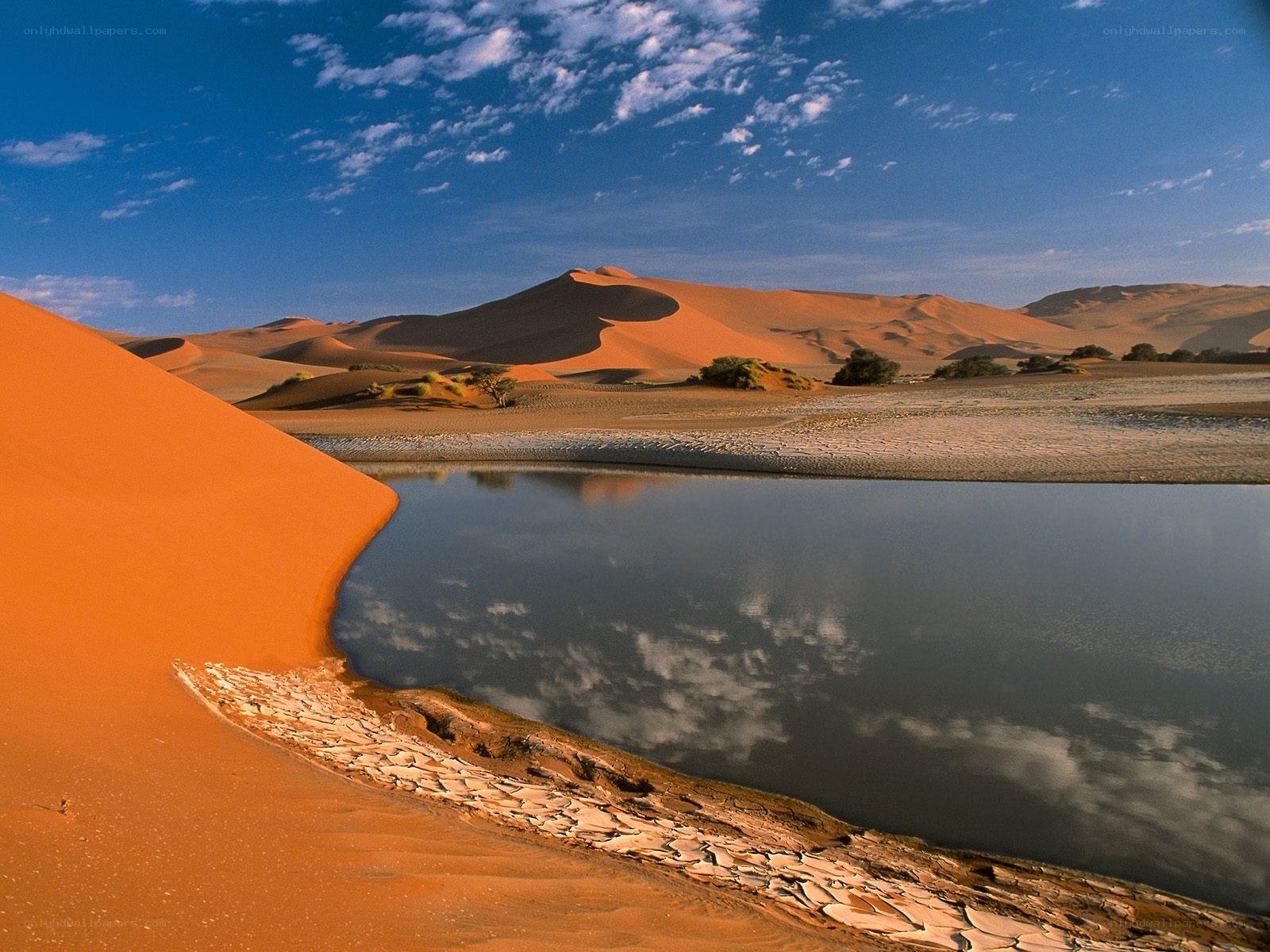 Desert oasis with sand dunes