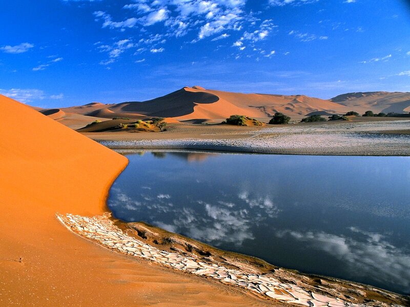 Desert oasis with sand dunes
