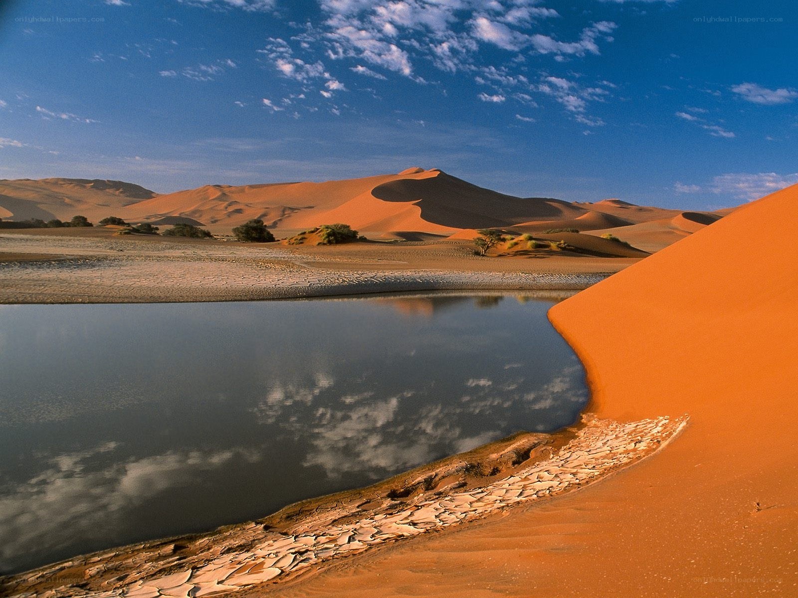 Desert oasis with sand dunes