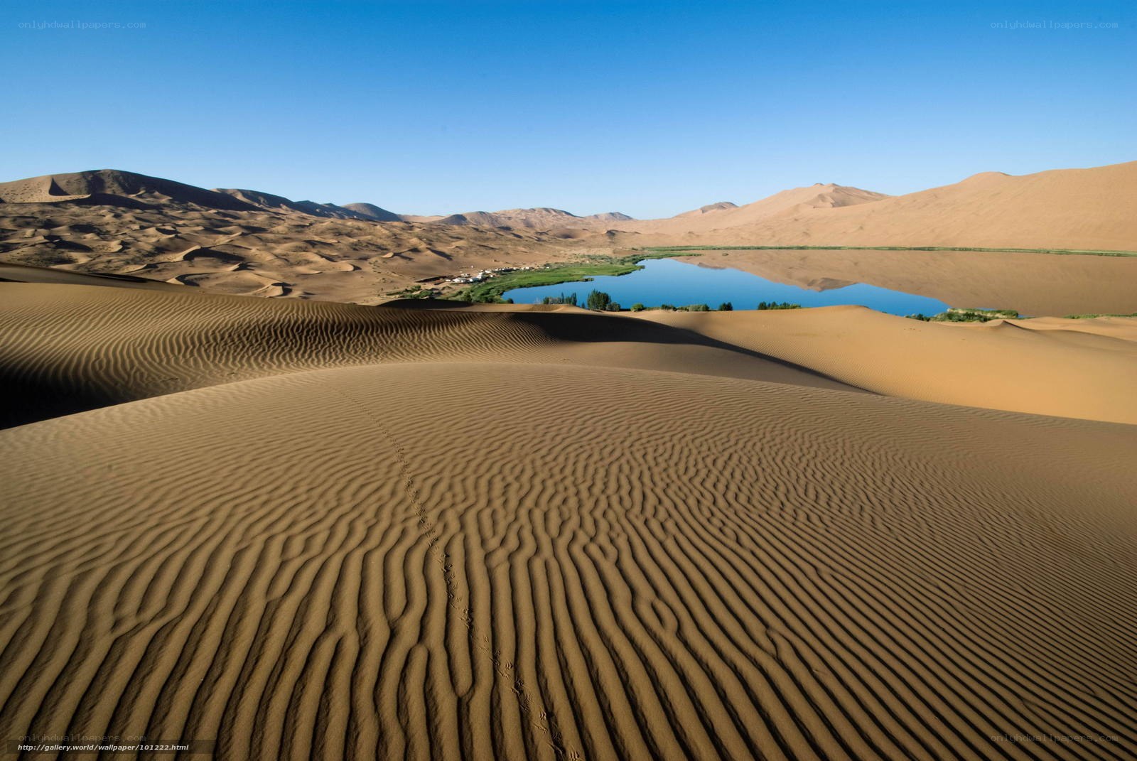 Desert oasis with sand dunes