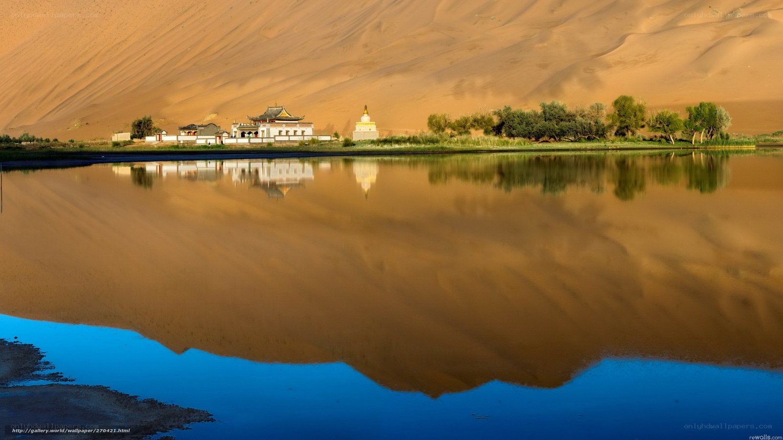 Desert oasis with temple reflection
