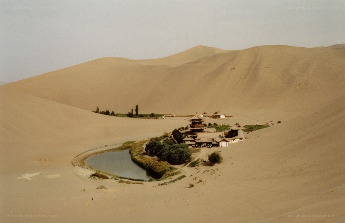 Desert oasis with temple