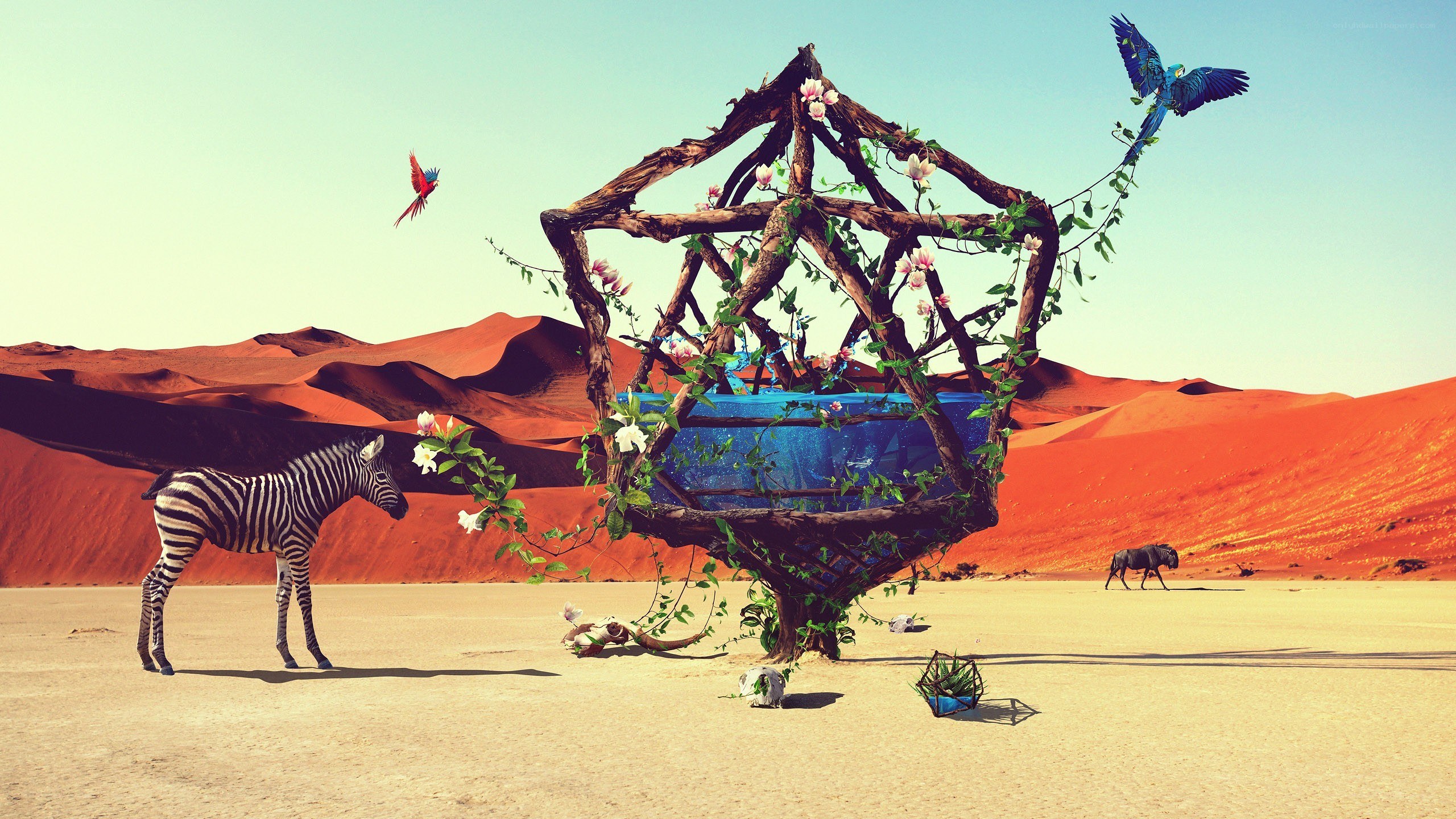 Desert oasis with zebra and birds