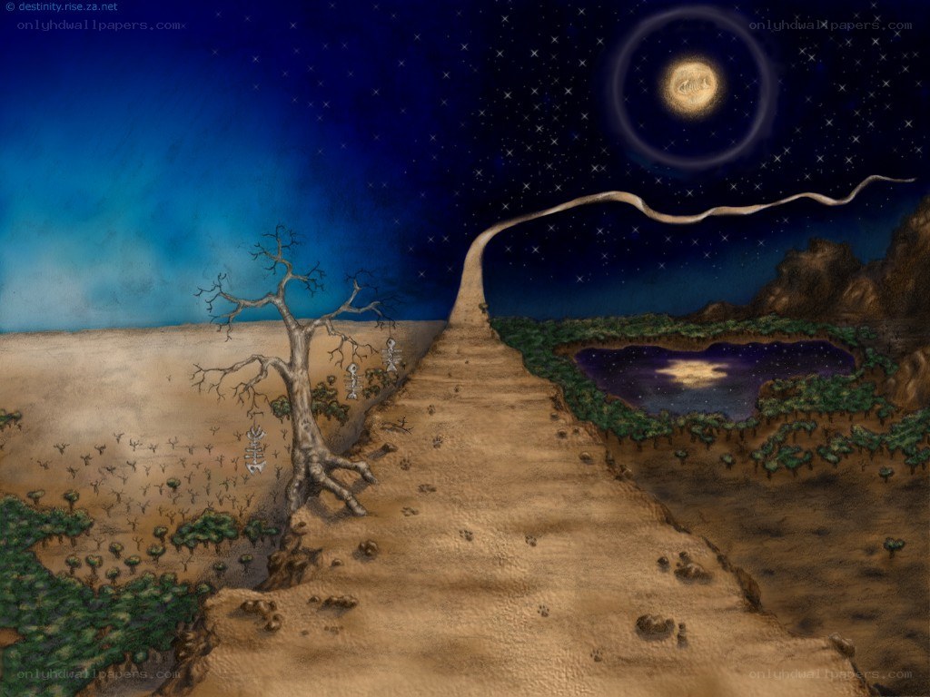 Desert path to oasis