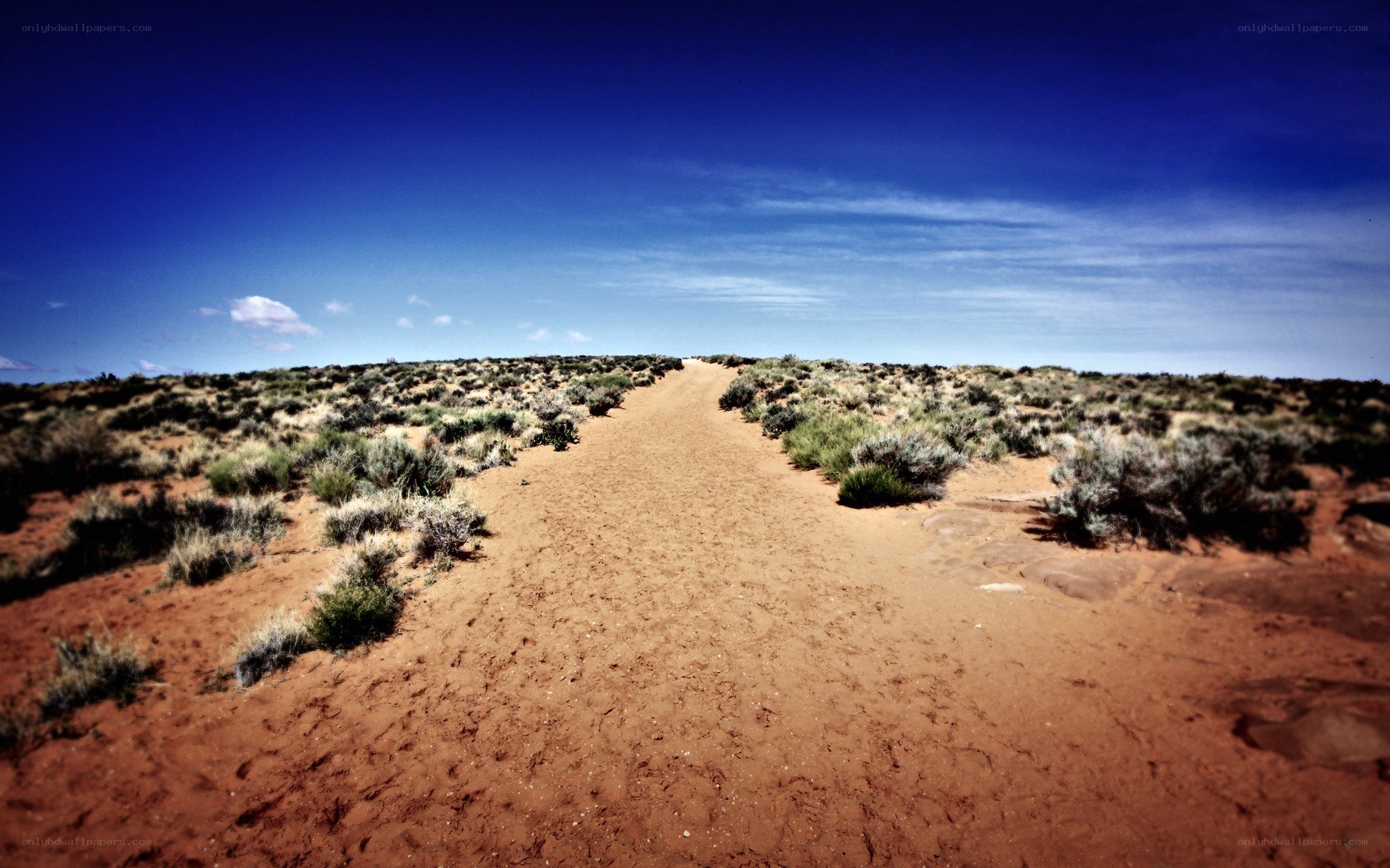 Desert path under blue sky